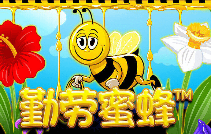 490080天线宝宝论坛